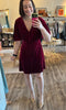 Velvet Ruffle Sleeve Dress